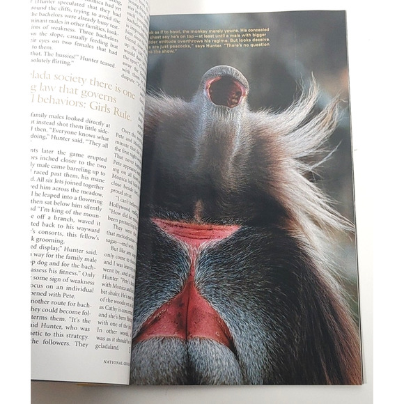 National Geographic Magazine November 2002 Unmasking Skin Weapons Mass Destruct - Picture 3 of 7